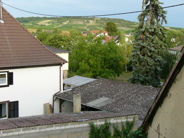 Geräumige 3,5 Zimmer Dachgeschosswohnung Geräumige 3,5 Zimmer Dachgeschosswohnung