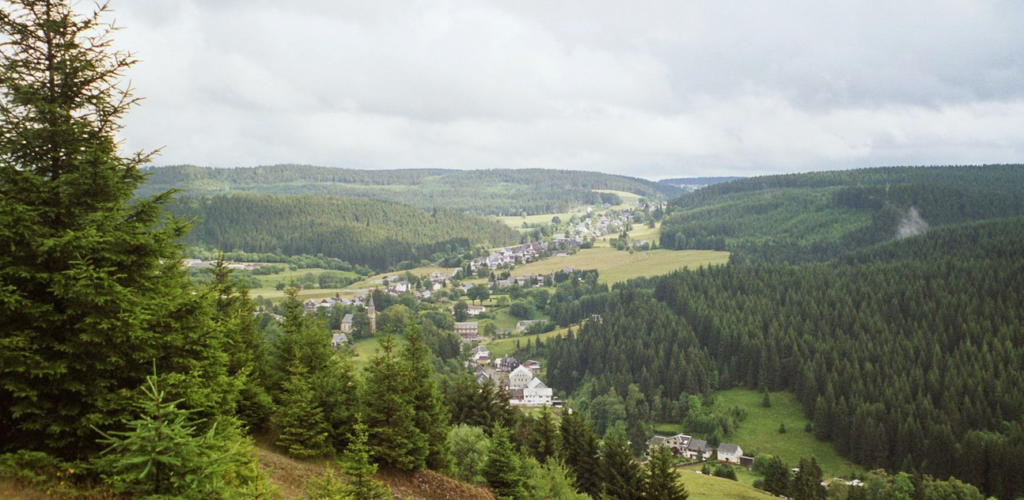 Gemütliches Haus mit großem Grundstück und Sanierungsbedarf Gemütliches Haus mit großem Grundstück und Sanierungsbedarf
